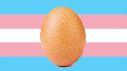 egg_irl|egg transgender meaning.